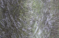 Kettle Corner fibreglass roof work